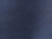 Blue Oxford