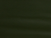 Green Olive