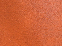 Orange Tangerine